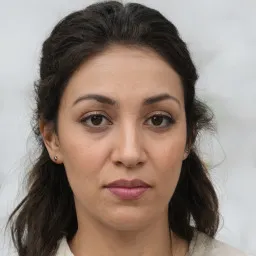 Dương Minh Long avatar
